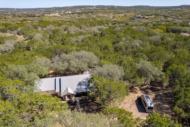 4207 Deer Trl, Spicewood, TX 78669 - photo 30