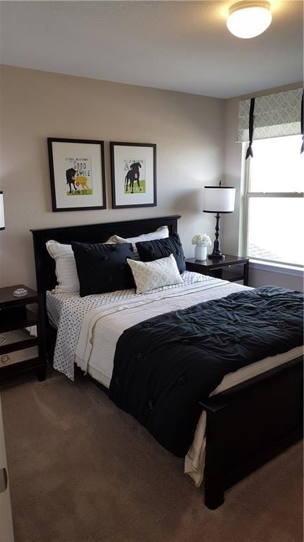 10909 Mickelson Dr, Austin, TX 78747 - view of carpeted bedroom