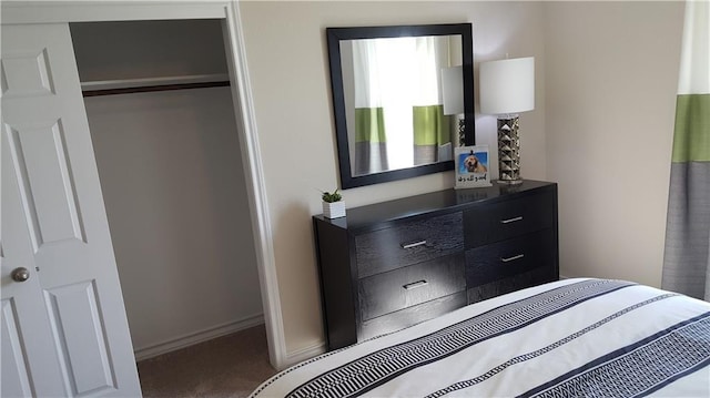 10909 Mickelson Dr, Austin, TX 78747 - carpeted bedroom with a closet