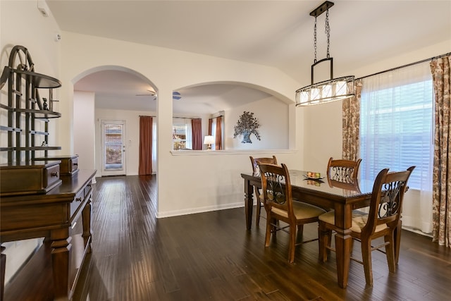 18708 Moreto Loop, Pflugerville, TX 78660 - dining space featuring dark wood-style floors and lofted ceiling
