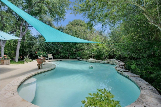 9410 Topridge Dr, Austin, TX 78750 - swimming pool with a patio and view of wooded area