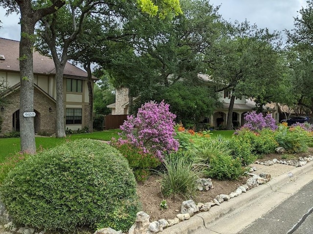 9410 Topridge Dr, Austin, TX 78750 - view of yard