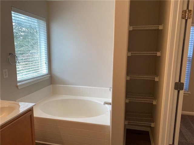2700 Saddle Blanket Pl, Leander, TX 78641 - bathroom featuring a garden tub and vanity