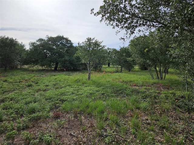 596 Seminole Trl, Dale, TX 78616 - photo 24