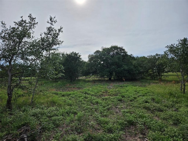 596 Seminole Trl, Dale, TX 78616 - photo 30