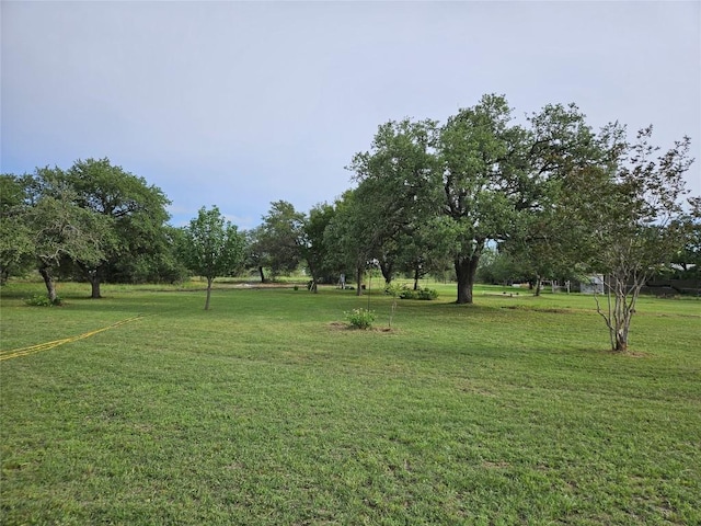 596 Seminole Trl, Dale, TX 78616 - photo 7