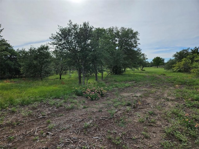 596 Seminole Trl, Dale, TX 78616 - photo 35