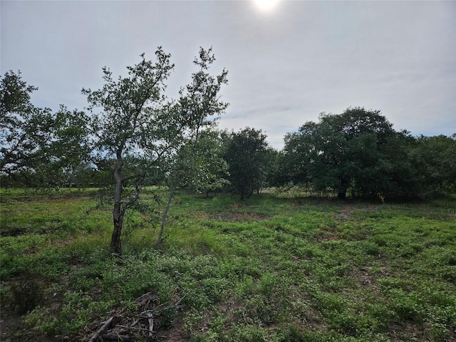 596 Seminole Trl, Dale, TX 78616 - photo 36