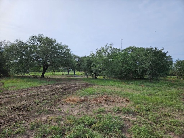 596 Seminole Trl, Dale, TX 78616 - photo 38
