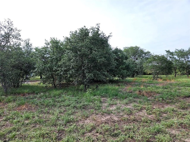 596 Seminole Trl, Dale, TX 78616 - photo 40
