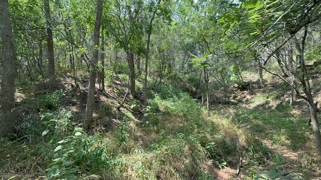 LOT649 Kaukonahua Ln, Bastrop, TX 78602 - photo 1