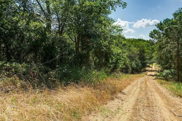 LOT649 Kaukonahua Ln, Bastrop, TX 78602 - photo 2