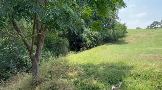 LOT649 Kaukonahua Ln, Bastrop, TX 78602 - photo 3