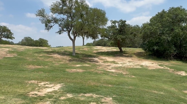 LOT649 Kaukonahua Ln, Bastrop, TX 78602 - photo 4