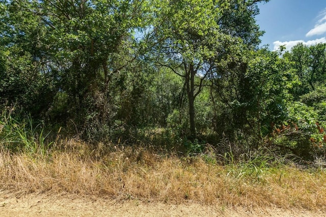 LOT649 Kaukonahua Ln, Bastrop, TX 78602 - photo 5