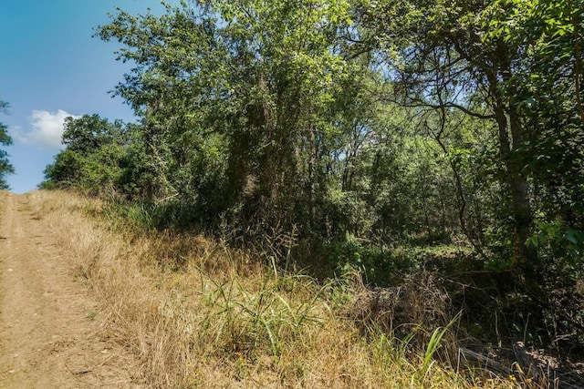 LOT649 Kaukonahua Ln, Bastrop, TX 78602 - photo 7