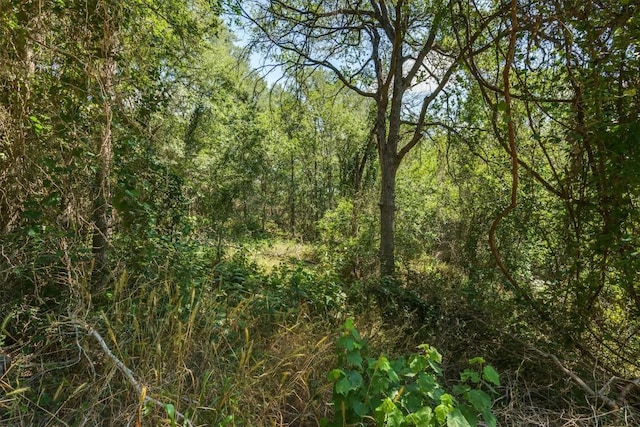 LOT649 Kaukonahua Ln, Bastrop, TX 78602 - photo 8