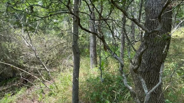 LOT650 Kaukonahua Ln, Bastrop, TX 78602