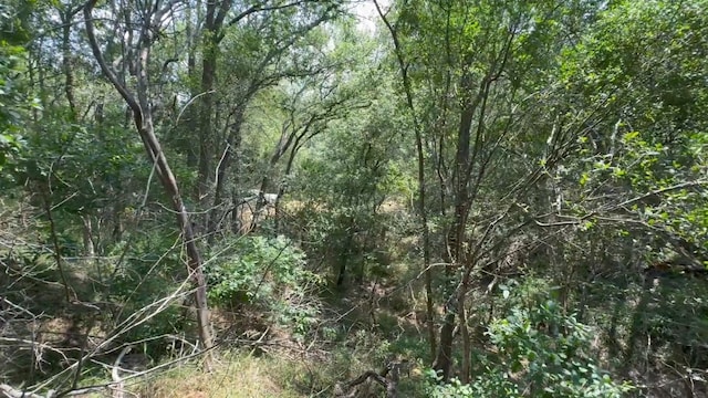 LOT650 Kaukonahua Ln, Bastrop, TX 78602