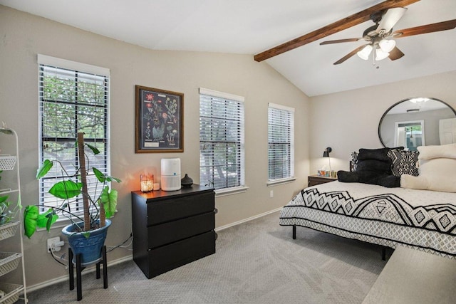 9100 Bill Hickcock Pass, Austin, TX 78748 - carpeted bedroom with multiple windows