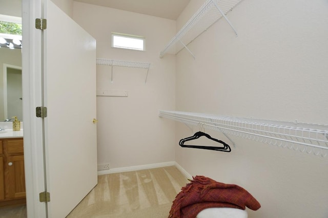 101 Ranch House Cv, Georgetown, TX 78633 - walk in closet with light carpet