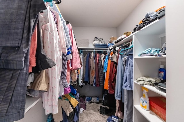 1805 Bogata Ln, Leander, TX 78641 - spacious closet with carpet