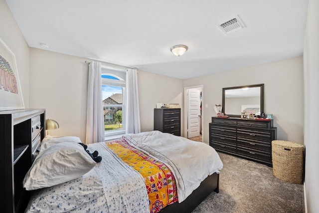 1805 Bogata Ln, Leander, TX 78641 - view of carpeted bedroom