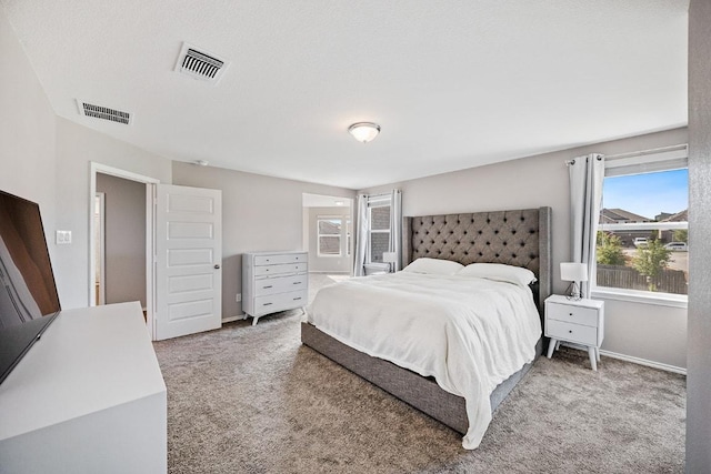 1805 Bogata Ln, Leander, TX 78641 - carpeted bedroom with baseboards