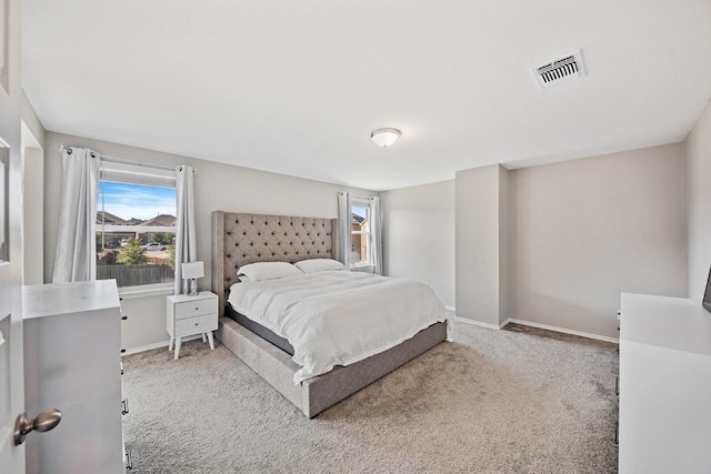 1805 Bogata Ln, Leander, TX 78641 - bedroom featuring carpet