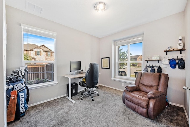 1805 Bogata Ln, Leander, TX 78641 - office space with carpet and baseboards