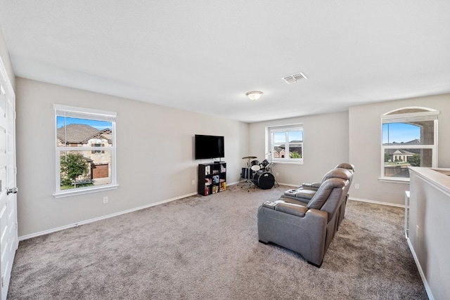1805 Bogata Ln, Leander, TX 78641 - living room featuring carpet and baseboards