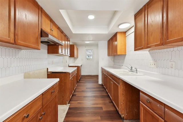 3810 Leafield Dr, Austin, TX 78749 - kitchen with under cabinet range hood, a tray ceiling, brown cabinetry, dark wood-style flooring, and tasteful backsplash