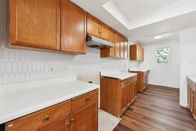 3810 Leafield Dr, Austin, TX 78749 - kitchen featuring under cabinet range hood, brown cabinets, dark wood finished floors, tasteful backsplash, and light countertops