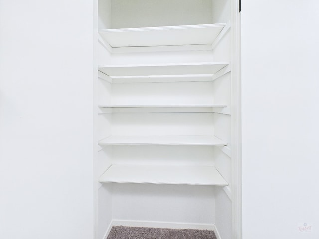 1501 Barton Springs Rd Unit 222, Austin, TX 78704 - view of closet