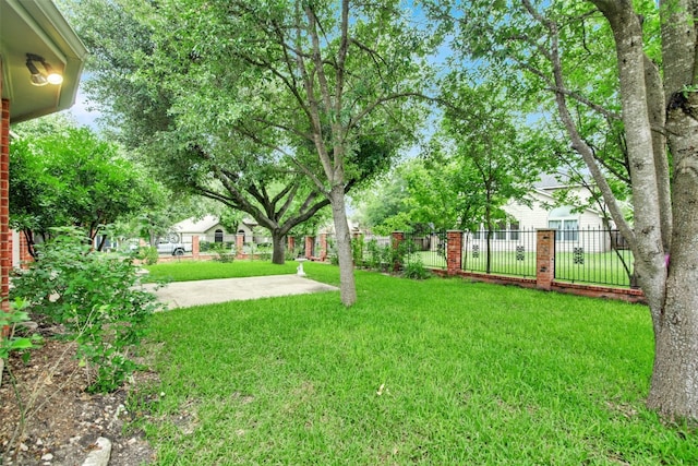 606 Dundalk Bay Cv, Pflugerville, TX 78660 - view of yard