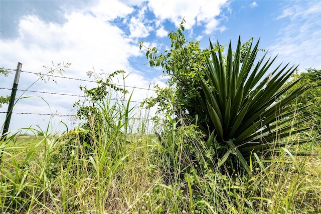 LOT8 Concrete Edgar Rd, Cuero, TX 77954 - photo 6
