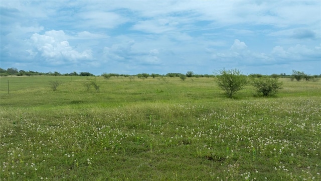 LOT8 Concrete Edgar Rd, Cuero, TX 77954 - photo 15