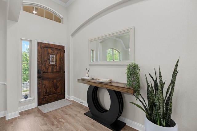 100 Crystal Cv, Round Rock, TX 78664 - foyer entrance featuring wood finished floors and crown molding