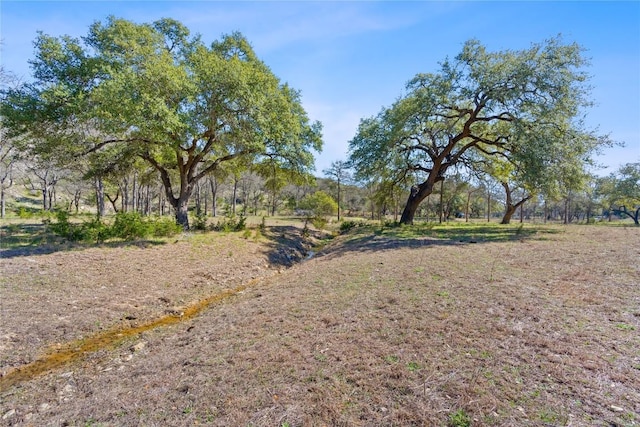 105 Camp Springs Ln, Georgetown, TX 78633 - photo 2