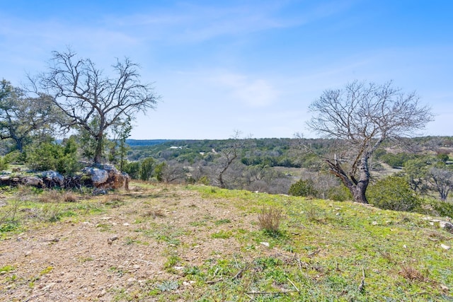 105 Camp Springs Ln, Georgetown, TX 78633 - photo 3