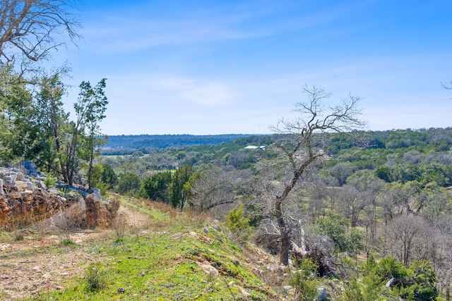 105 Camp Springs Ln, Georgetown, TX 78633 - photo 4