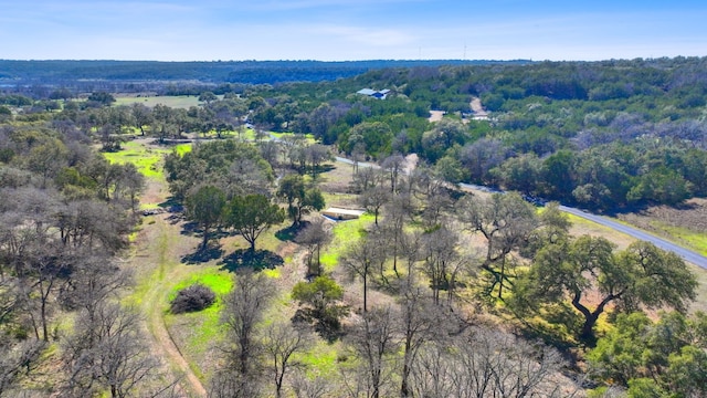 105 Camp Springs Ln, Georgetown, TX 78633 - photo 9