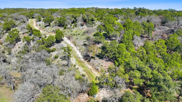 105 Camp Springs Ln, Georgetown, TX 78633 - photo 12
