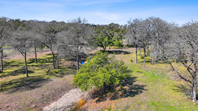 105 Camp Springs Ln, Georgetown, TX 78633 - photo 14