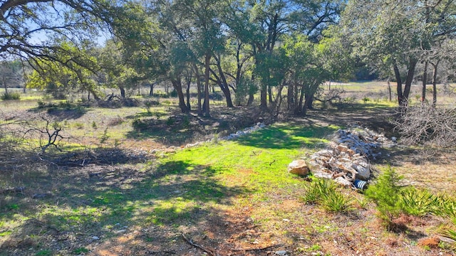 105 Camp Springs Ln, Georgetown, TX 78633 - photo 15