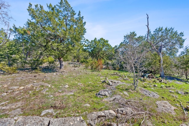 105 Camp Springs Ln, Georgetown, TX 78633 - photo 16