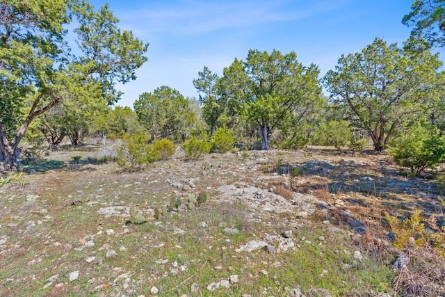 105 Camp Springs Ln, Georgetown, TX 78633 - photo 17