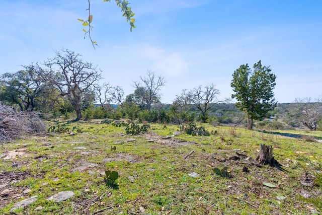 105 Camp Springs Ln, Georgetown, TX 78633 - photo 18