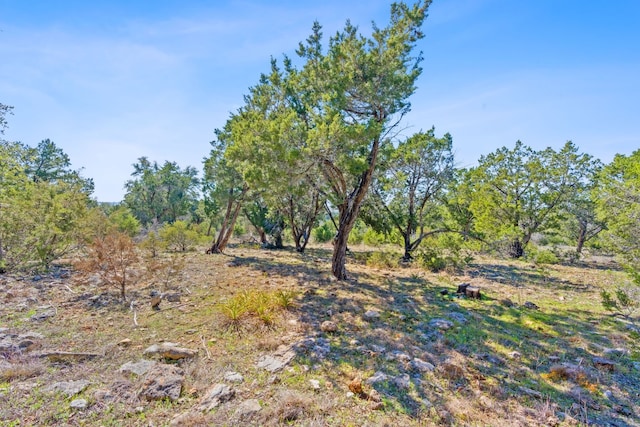 105 Camp Springs Ln, Georgetown, TX 78633 - photo 19