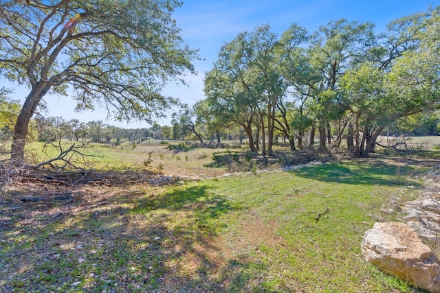105 Camp Springs Ln, Georgetown, TX 78633 - photo 23